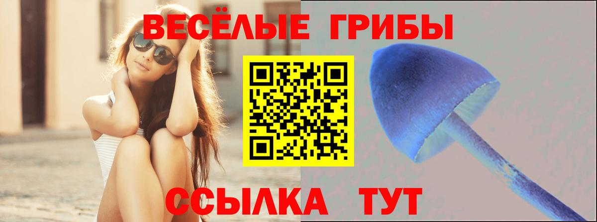 Егорьевск  Псилоцибиновые грибы прущие грибы  Псилоцибиновые грибы Magic Shrooms  Вход с VPN 